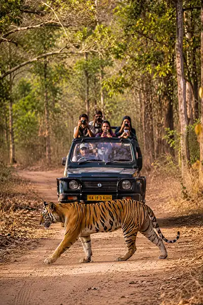 Dandeli Weekend Trip