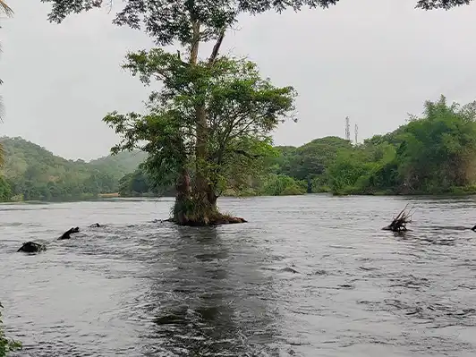 Kali River